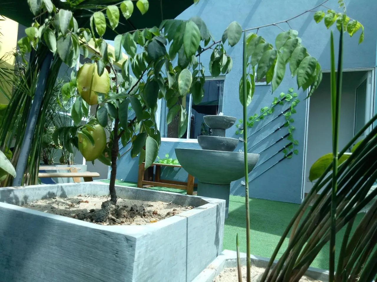 Guest house This Is It Airport Hotel And Restaurant Negombo